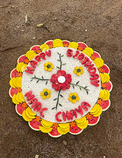 Mini Cakes 15 Kg
