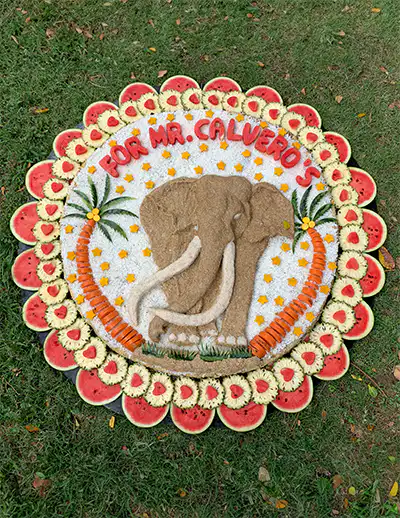 Jumbo Cakes 80 Kg