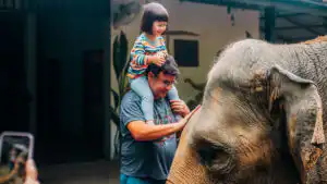 A heartwarming scene of a man with a child on his shoulders gently interacting with an elephant