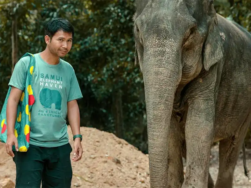 Samui Elephant Haven