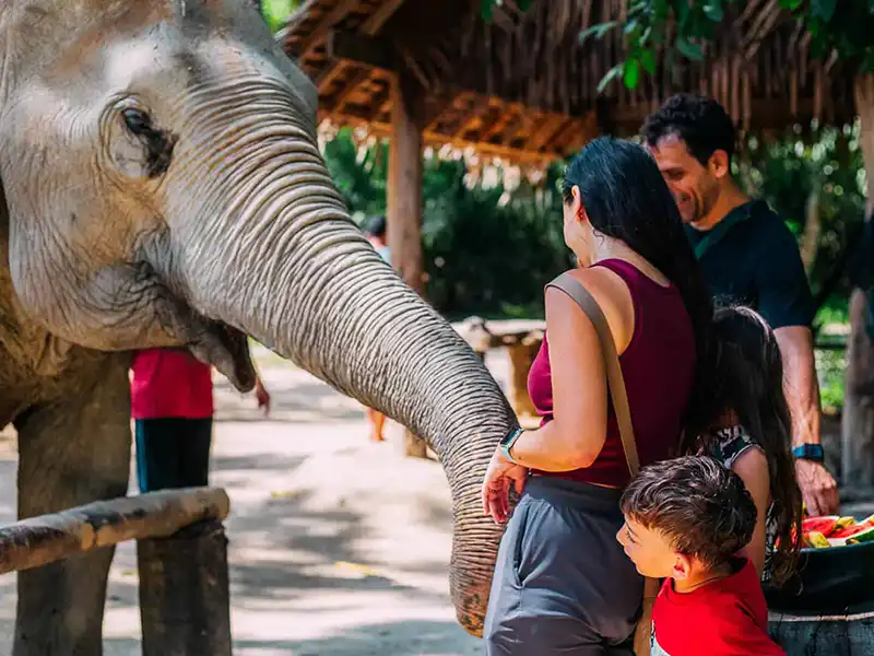 An elephant extending its trunk towards a woman and a child