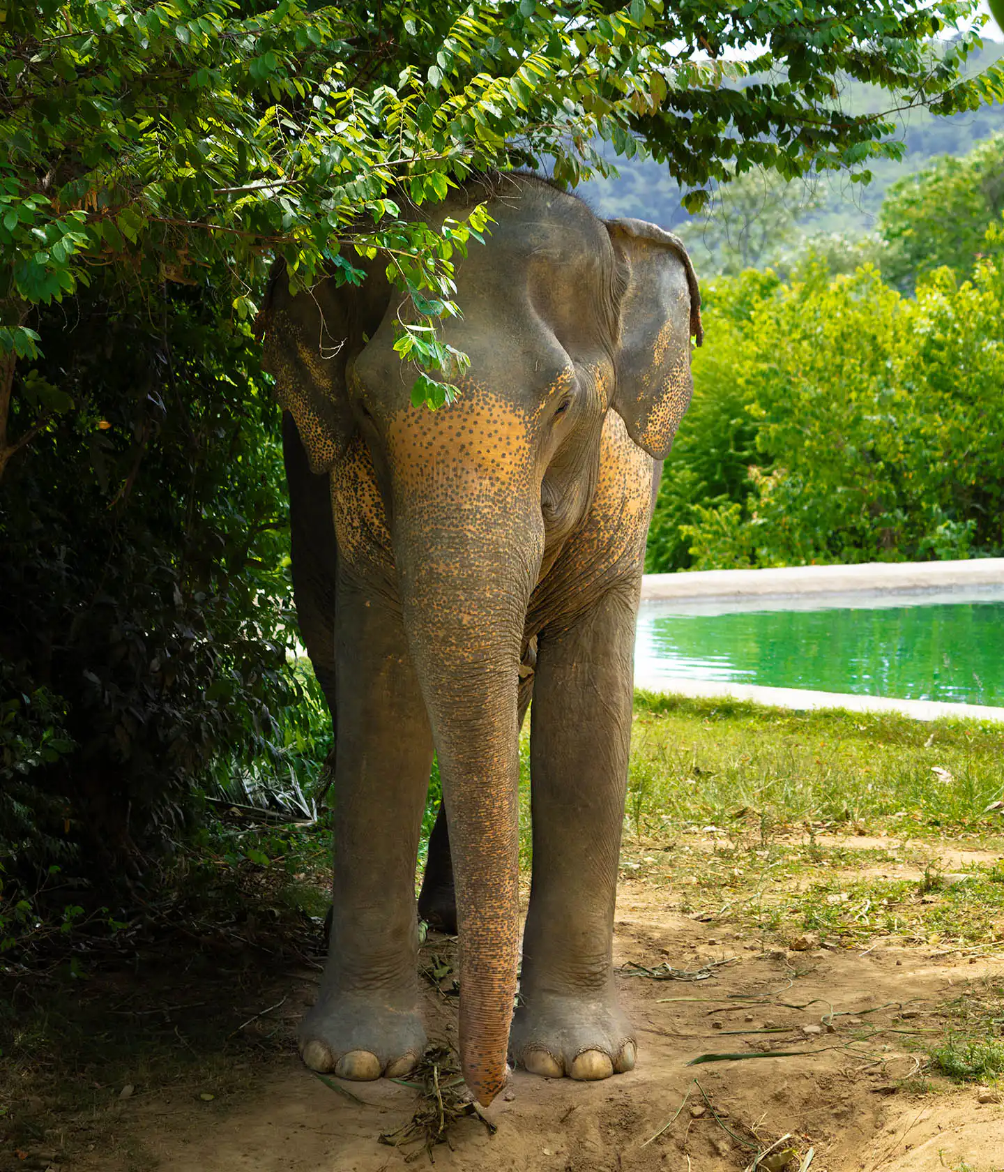 Clear portrait of Sudarat