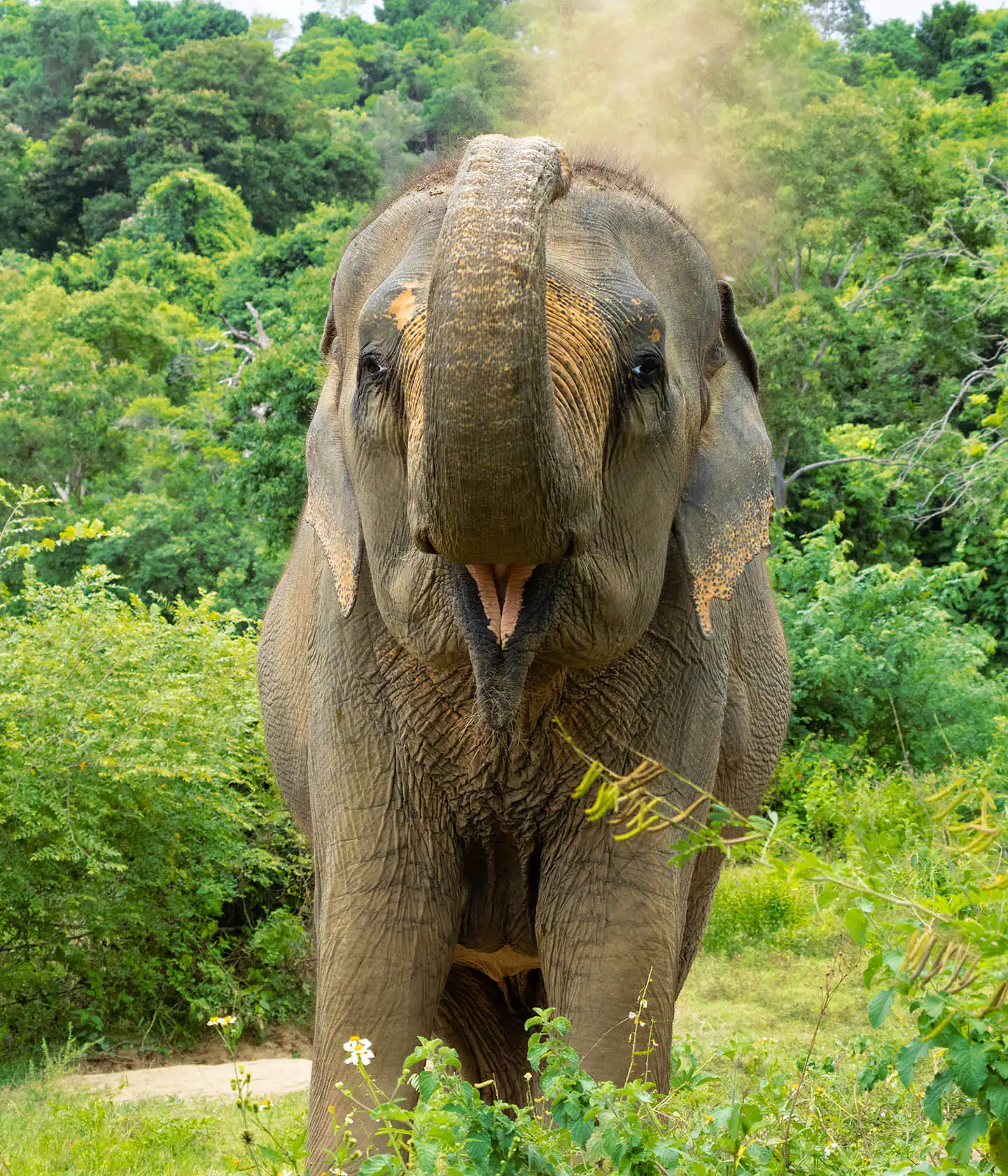 Somboon spraying sand on herself