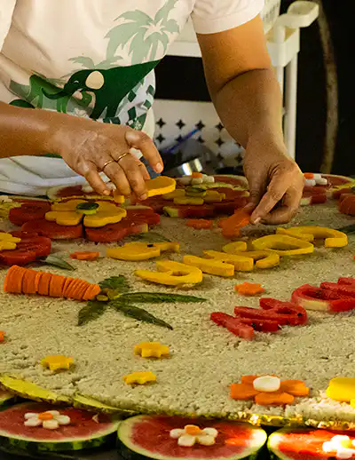 Samui Elephant Haven - Activities