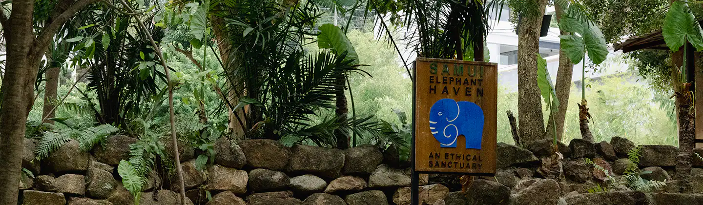 Samui Elephant Sanctuary