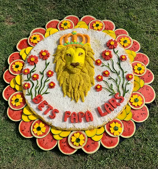 jumbo cake samui elephant haven